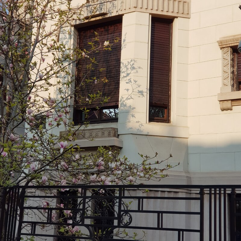 Reparatii Jaluzele Exterioare din Lemn